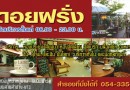 ร้านดอยฝรั่งคอฟฟี่ แอนด์ เรสเตอรองท์  Doi farang Coffee Bakery & Restaurant