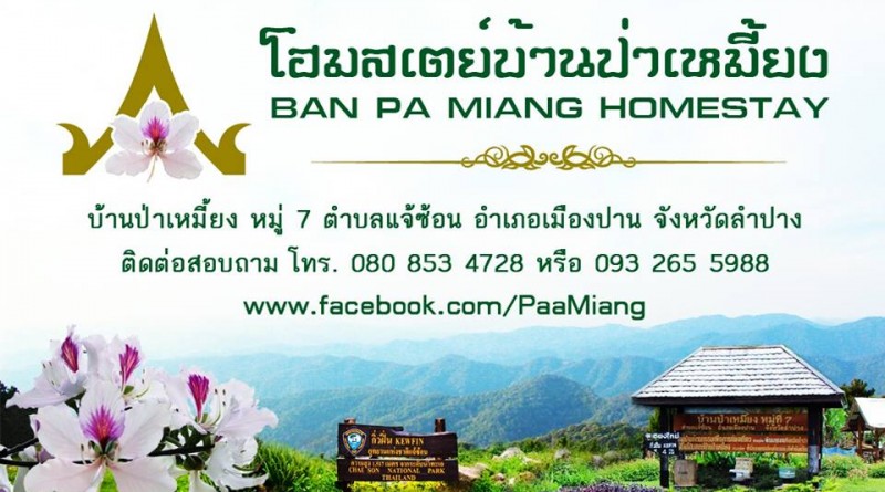 Pa Miang Homestay