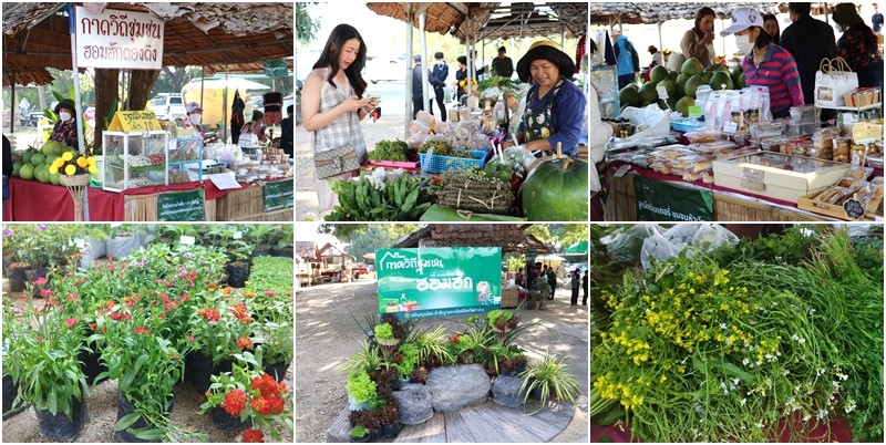 กาดฮอมฮัก